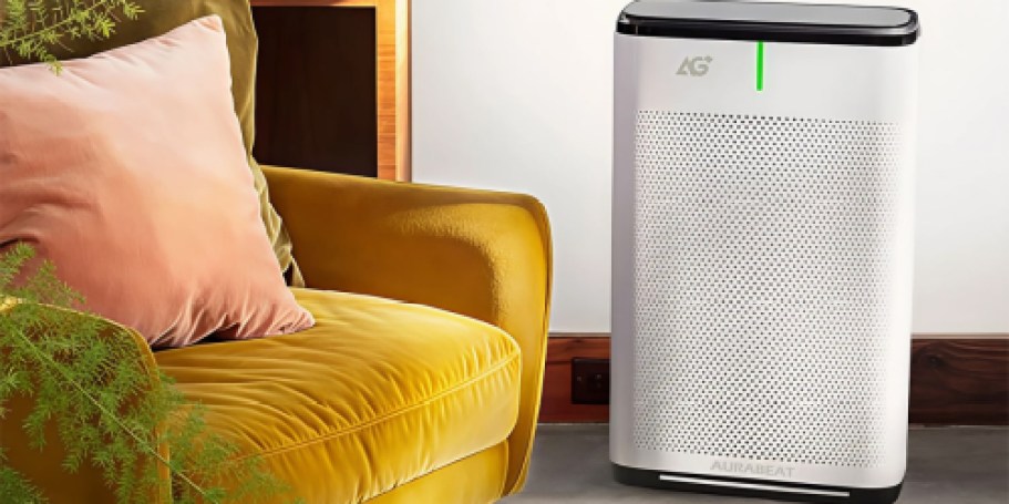 Lowe’s Daily Deals = 80% Off Air Purifiers, BIG Savings on Garage Organization & More