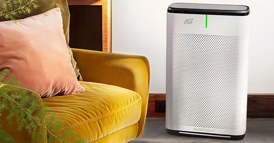 Lowe’s Daily Deals | 80% Off Air Purifier, Free Bosch Power Tool w/ Purchase & More