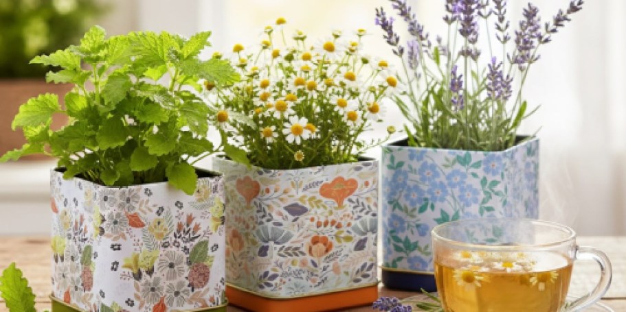 10 BEST Mother’s Day Gifts on Kohls.com – Starting at Just $6