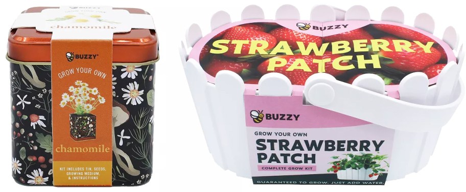 chamomile seed tin an strawberry grow basket