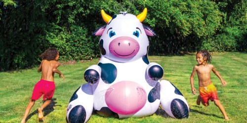 15 Top Sam’s Club Water Toys: Inflatable Sprinklers, Pools, Slides & Floats