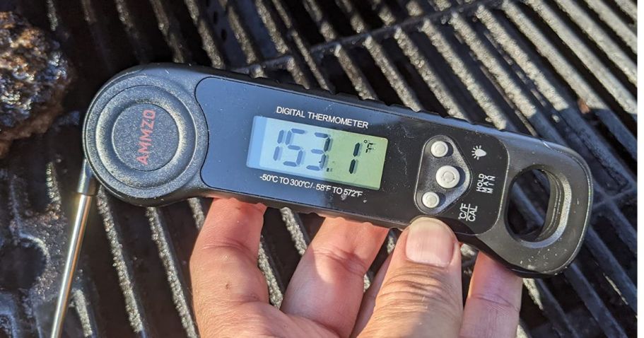 Digital Meat Thermometer Only $5.49 on Amazon (Reg. $10)