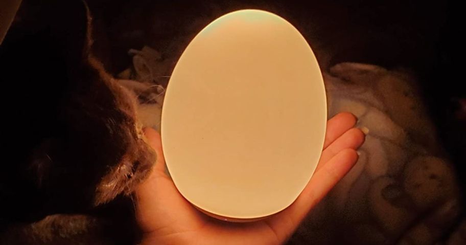 hand holding an Egg Nigh Light