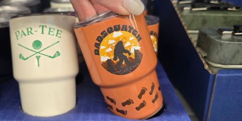 We Spotted the Cutest Under $5 Mini Tumblers at Walmart (Great for Father’s Day!)