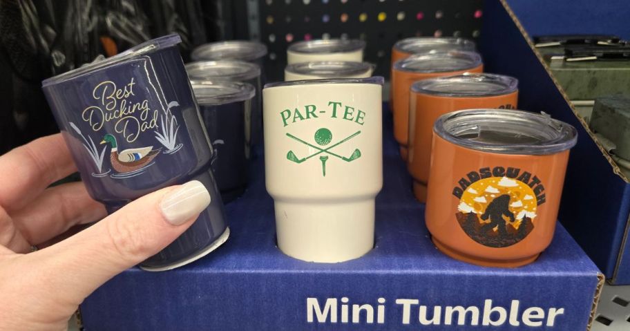Father's Day Mini Tumblers at Walmart