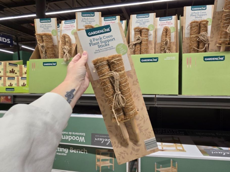Gardenline 2-Pack Coco Plant Support Sticks in hand in store