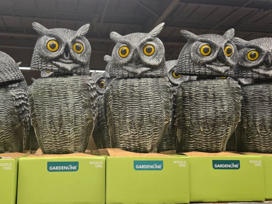 Gardenline Wiggle Owls in store