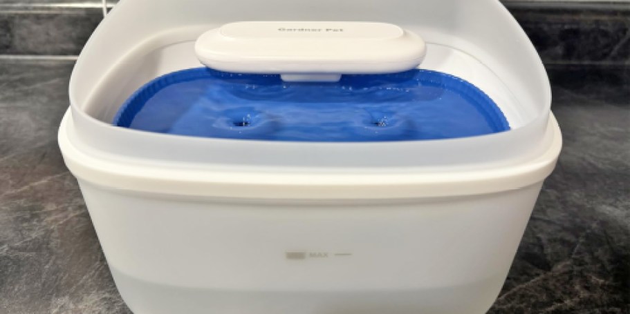 Pet Water Fountain Just $14.99 on Amazon (Reg. $30) | Splash-Proof & Easy to Clean