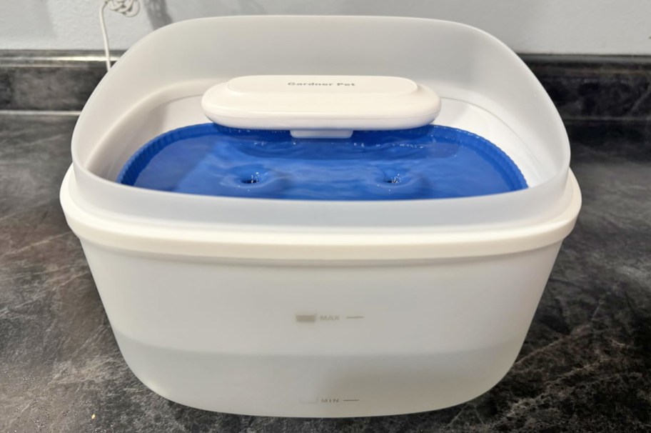 white pet water fountain