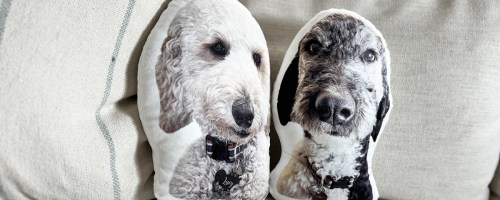 dog head pillows on a couch