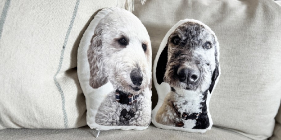 Looking for a Fun Gift Idea? These Custom Pet Pillows Are Only $20.51 Shipped!