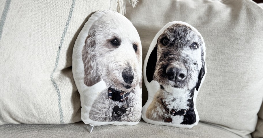 dog head pillows on a couch