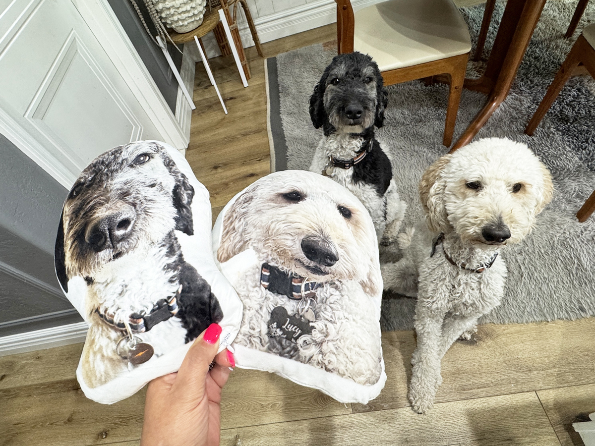Looking for a Fun Gift Idea? These Custom Pet Pillows Are Only $20 Shipped!