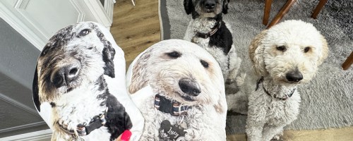hand holding two custom dog pillows with dogs in the background