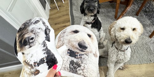 Looking for a Fun Gift Idea? These Custom Pet Pillows Are Only $20 Shipped!
