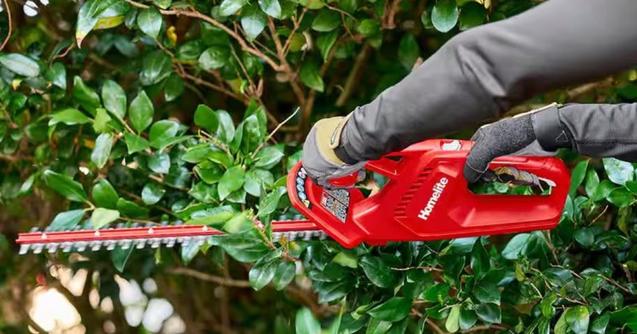 person using the homelight tree cutter 