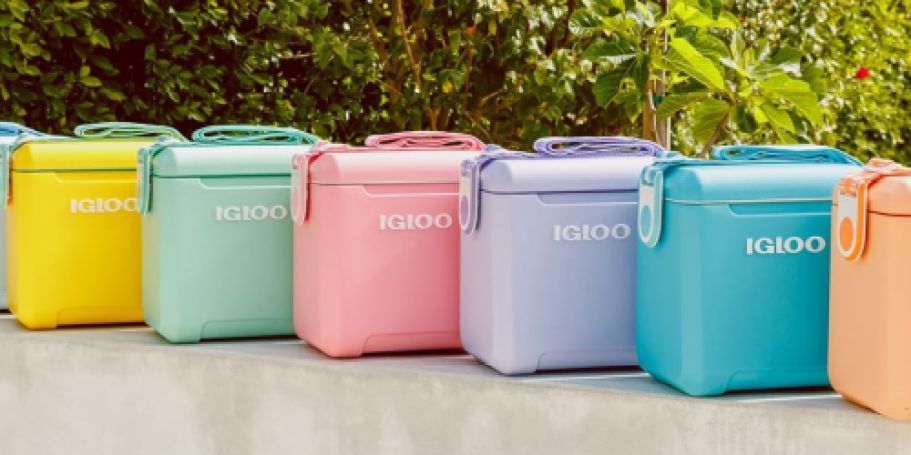 NEW Igloo 14-Can Coolers from $39.98 Shipped on Amazon