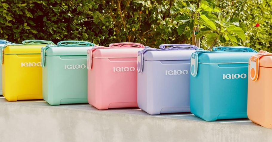 NEW Igloo 14-Can Coolers from $39.98 Shipped on Amazon