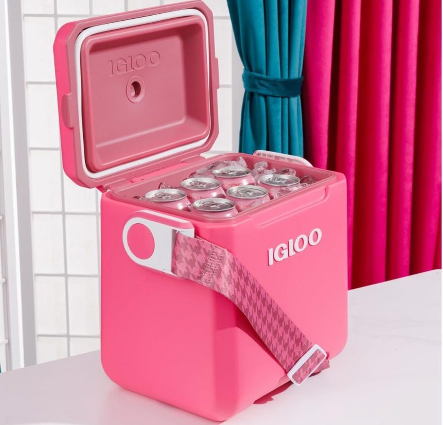 Igloo Tag Along Too Coolers