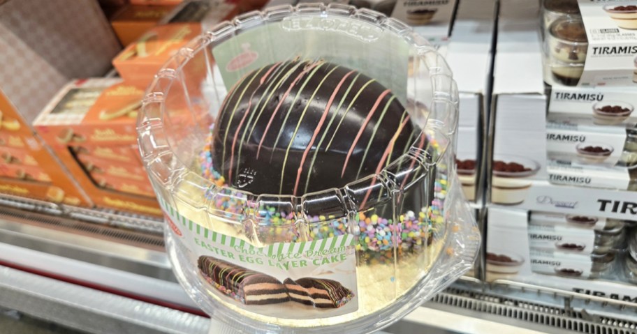chocolate egg-shaped cake in store