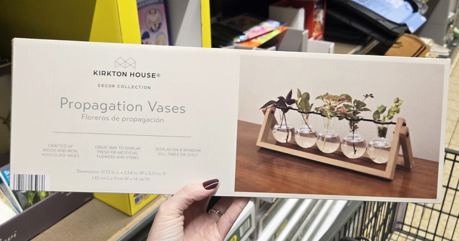 hand holding up a boxed set of glass propagation vases