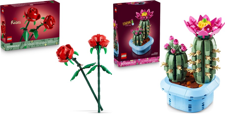 two LEGO Botanicals sets with their boxes