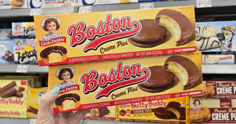 Have You Seen the NEW Little Debbie Snacks?