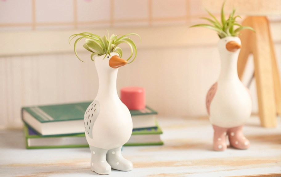 goose in boots figures with air plants on top