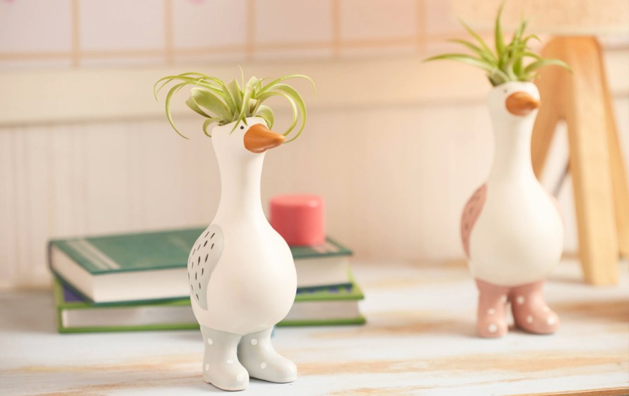 Lowe’s Daily Deals | Save on House Plants, Air Filters, Fans, & More