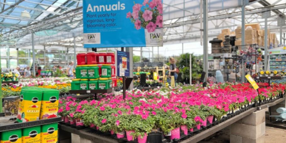 Lowe’s SpringFEST Sale Starts 3/26 | Save on Mulch, Plants, Storage & More