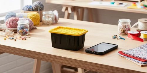 Sam’s Club Has NEW Mini Totes (6-Pack JUST $9.98!)