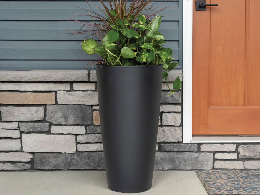 Member's Mark&nbsp;Tall Round Plant