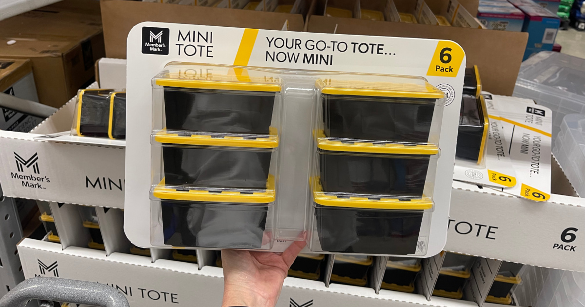 Sam’s Club Has NEW Mini Totes (6-Pack JUST $9.98!)