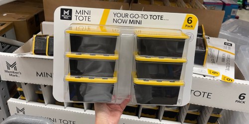 Sam’s Club Has NEW Mini Totes (6-Pack JUST $9.98!)