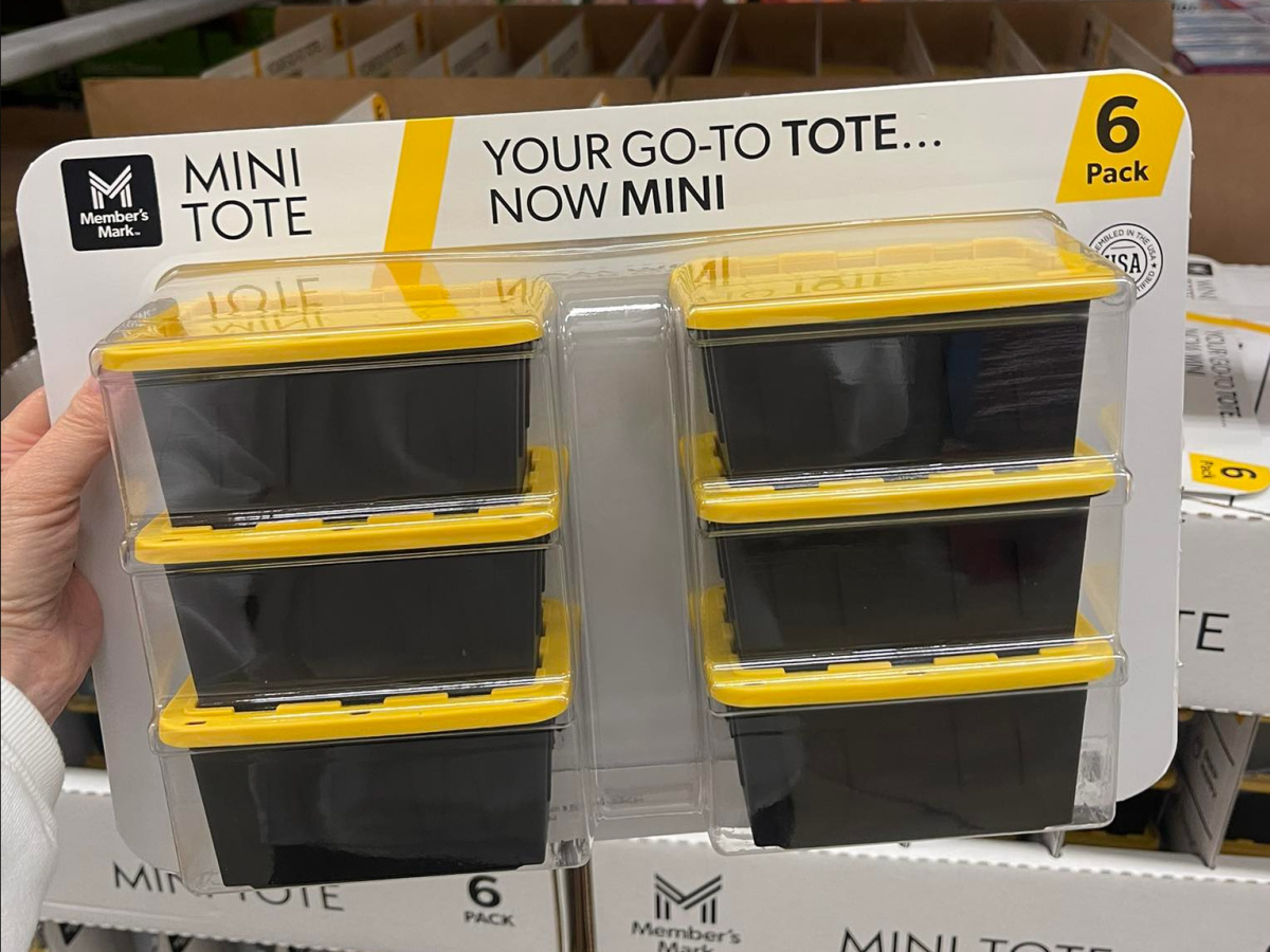 Sam’s Club Has NEW Mini Totes (6-Pack JUST $9.98!)