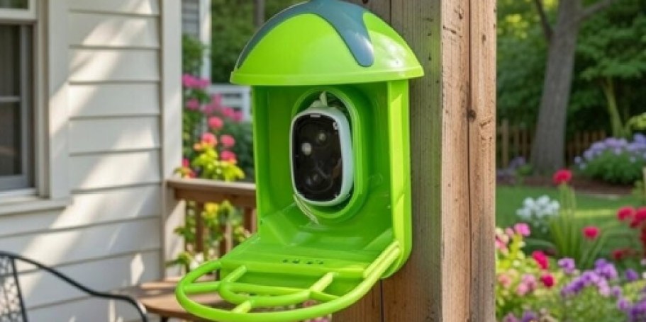 Solar-Powered Smart Bird Feeder Only $29.83 Shipped on Amazon (Reg. $61)
