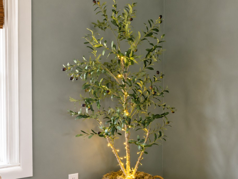 faux olive tree with lights in a basket in corner of room