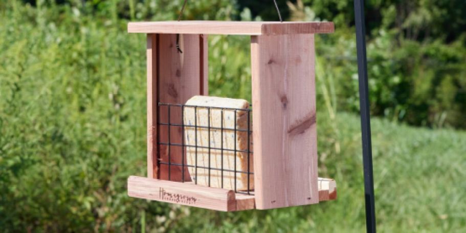 National Audubon Society Suet Only $1.48 Shipped on Lowes.com