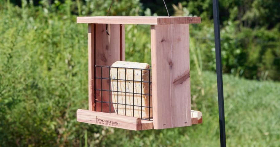 National Audubon Society Suet Only $1.48 Shipped on Lowes.com