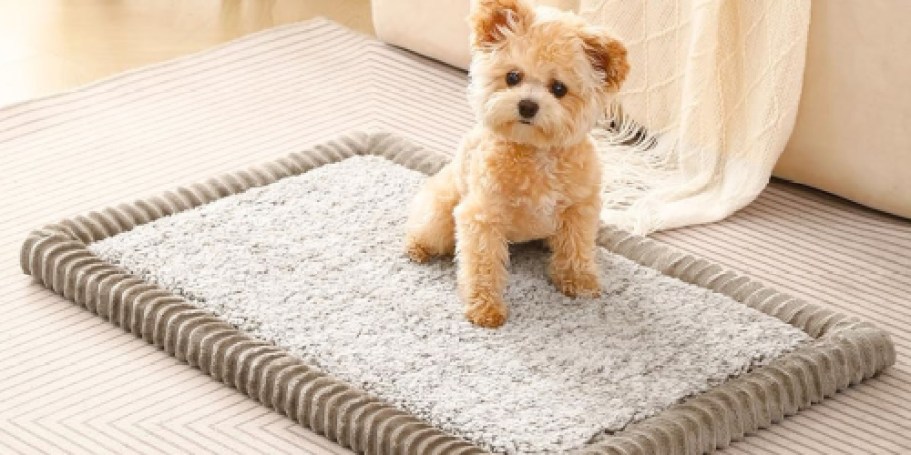 Memory Foam Pet Crate Mats from $9.99 on Amazon (Reg. $20) – Soft & Washable