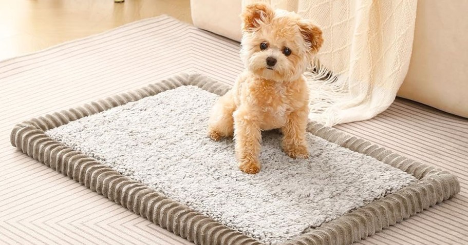 Memory Foam Pet Crate Mats from $9.99 on Amazon (Reg. $20) – Soft & Washable