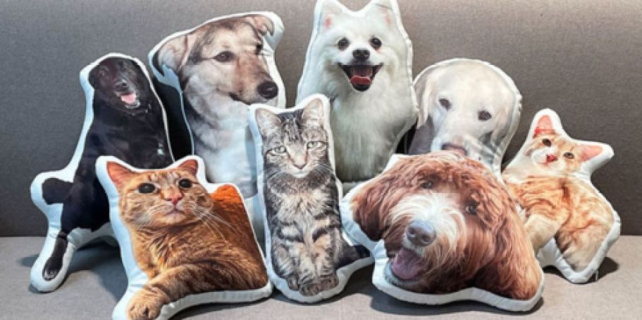 Custom Pet Pillows Just $20 Shipped – Great Gift Idea!