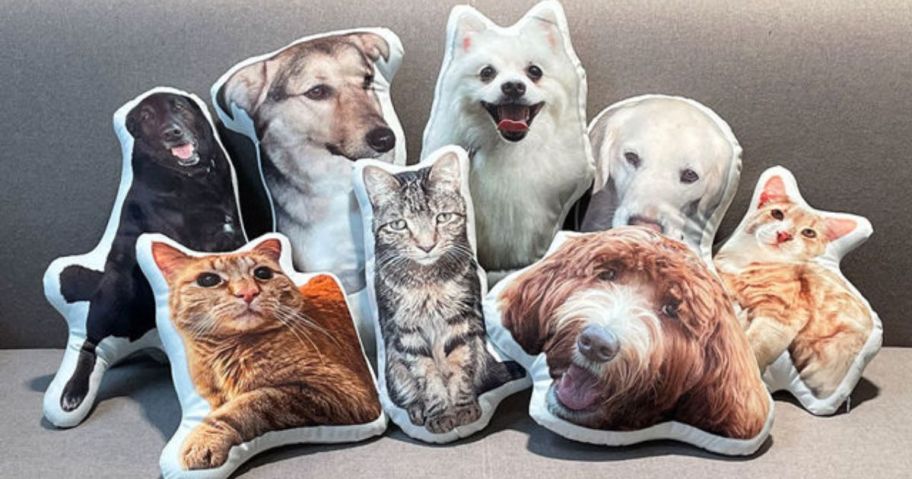 Bobbleheads Pet Pillows on a couch