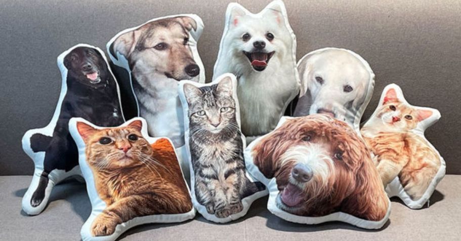 Custom Pet Pillows Just $20 Shipped – Great Gift Idea!