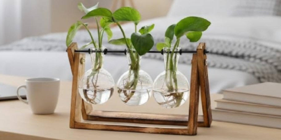 Plant Propagation Station Only $9.49 on Amazon (Reg. $20)