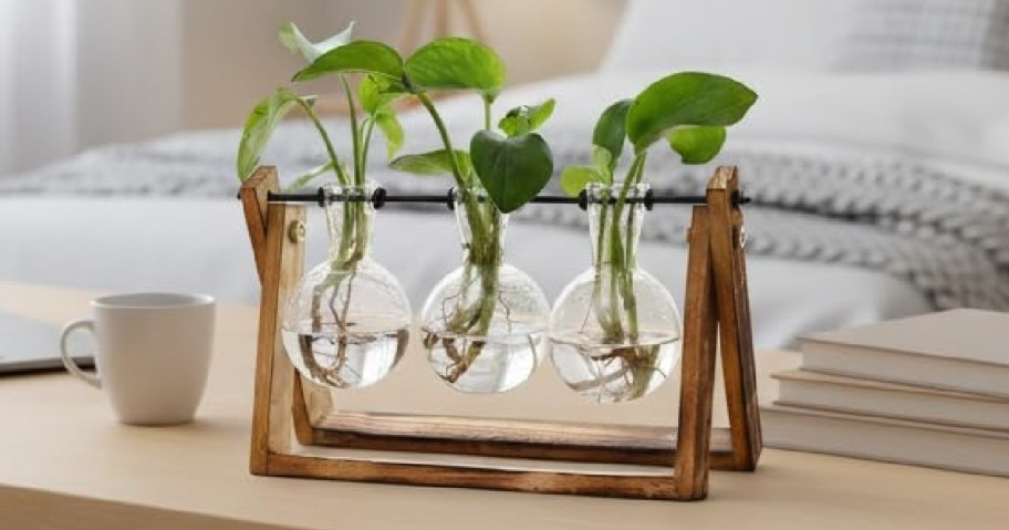 Three green plants growing in hanging glass globes filled with water on a wooden stand. Nearby, a white cup and stacked books sit on a light wood table.