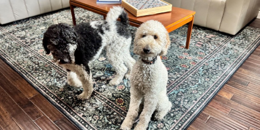 *RARE* Ruggable Savings + Free Shipping on Machine-Washable Rugs