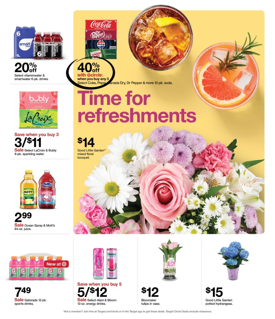 page from Target ad