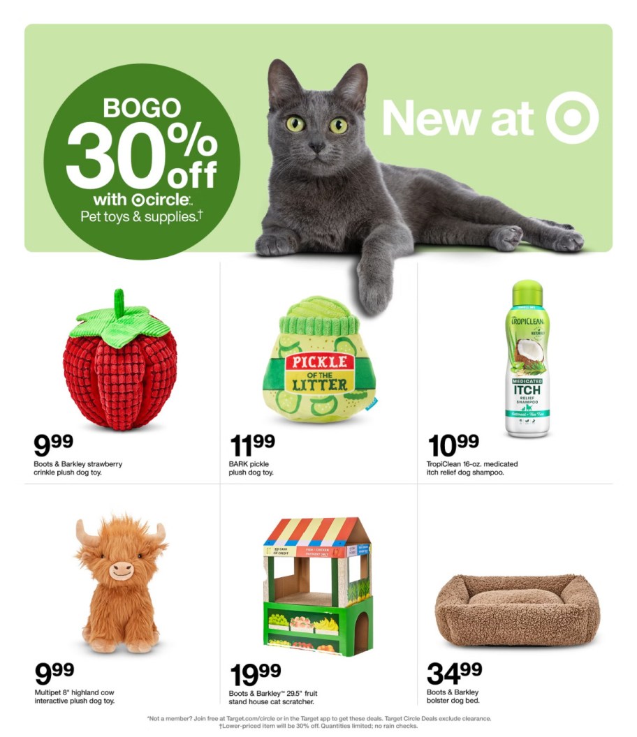 page from Target ad