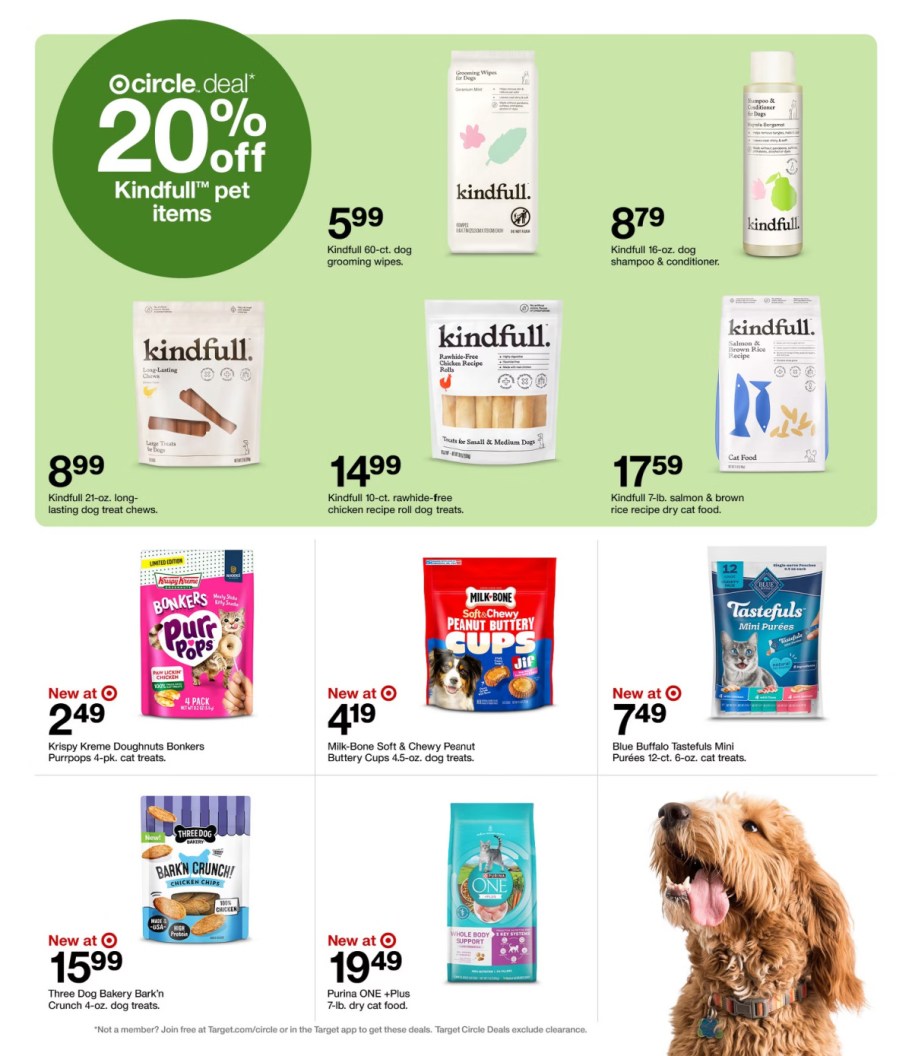 page from Target ad